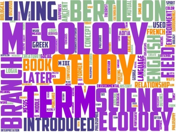 Mesology Wordart Book Cover: A Creative Tool for Inspiration and Expression