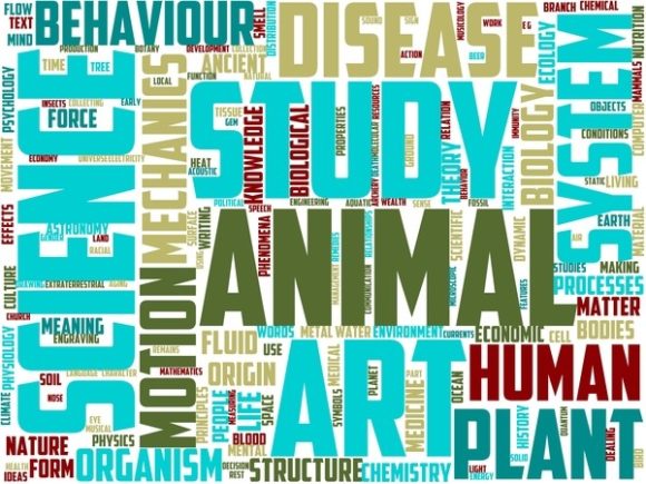 Microclimatology Wordart Banner: A Creative Tool for Modern Designers
