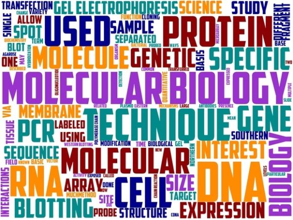 Molecular Biology Wordart Sublimation: A Creative and Functional Design Solution