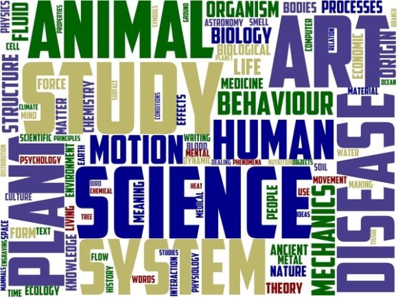 Momilogy Wordart Sublimation