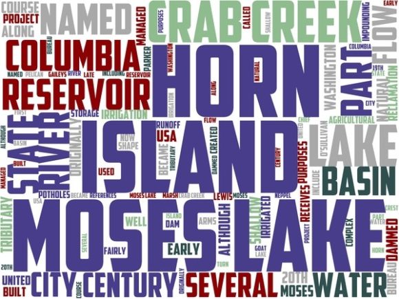 Moses Lake Wordart Book Cover: A Creative Canvas for Modern Expression