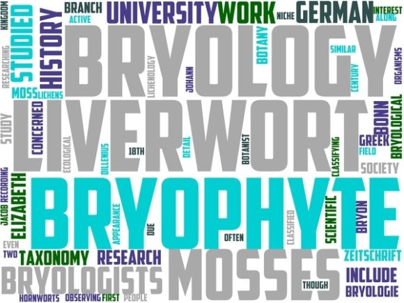 Muscology Wordart Tumbler: A Creative Tool for Inspiring Design