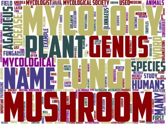 Myologist Wordart Background: A Creative Solution for Unique Design Needs
