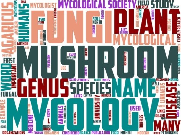 Myology Wordart Skinny Tumbler: A Creative Tool for Personalized Design
